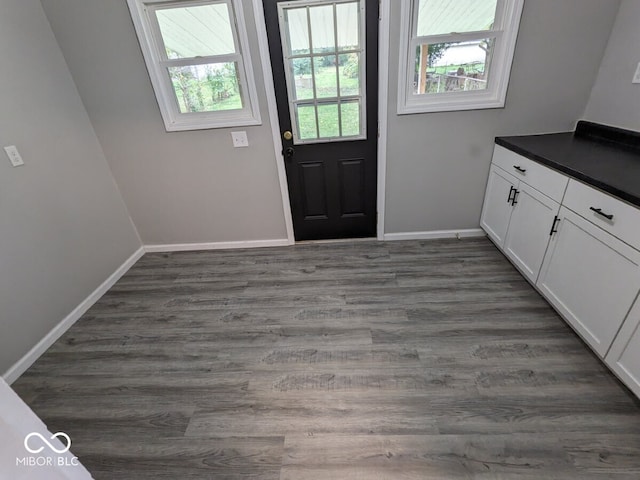 entryway featuring dark hardwood / wood-style flooring