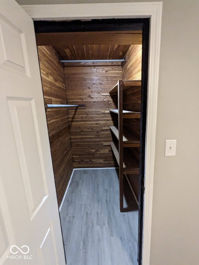 walk in closet featuring wood-type flooring