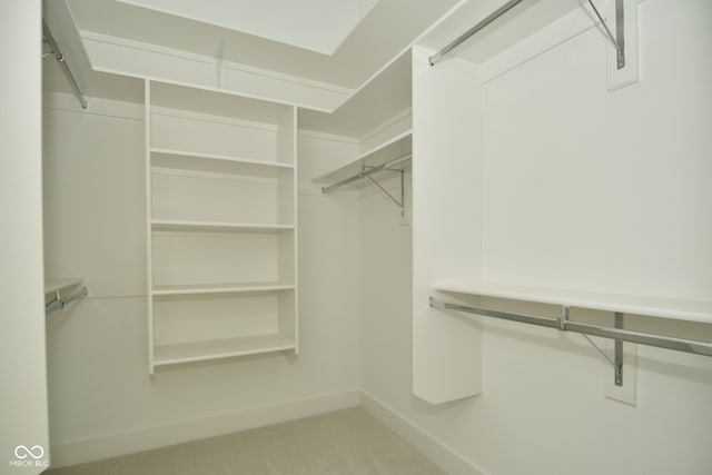 spacious closet featuring light carpet