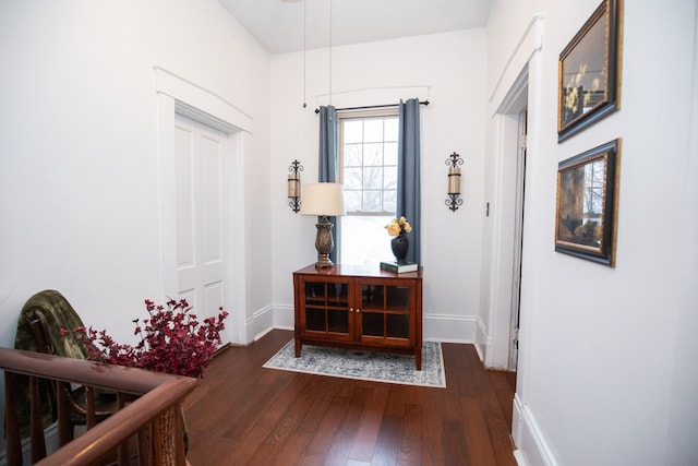 entrance foyer with dark wood-type flooring