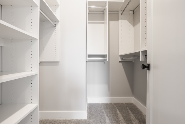 spacious closet featuring carpet floors