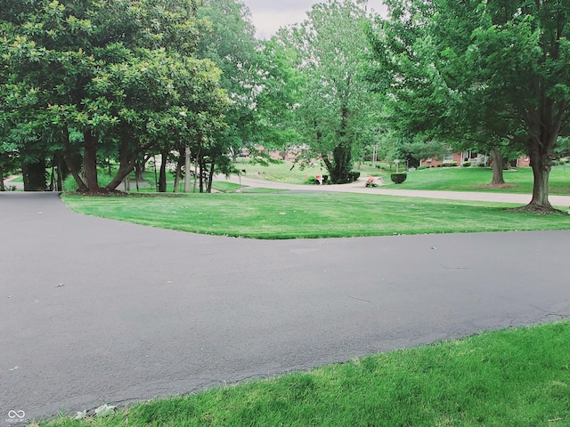 surrounding community featuring a lawn