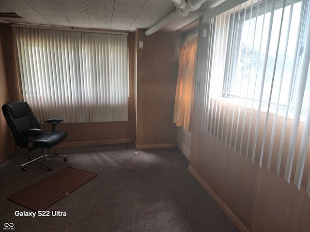 carpeted office with plenty of natural light and wood walls