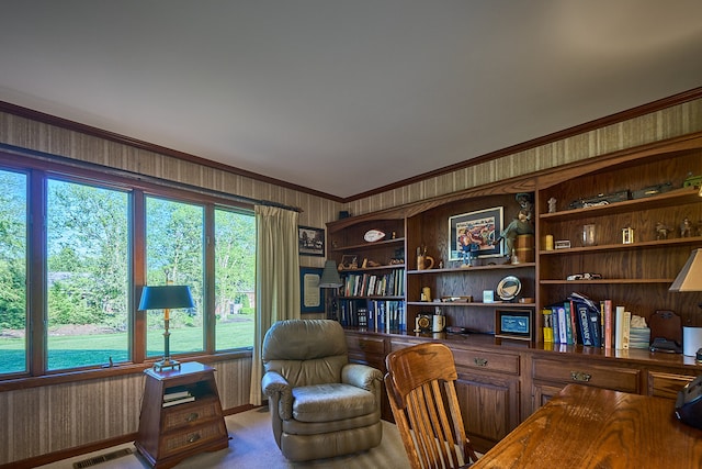 office featuring ornamental molding and carpet