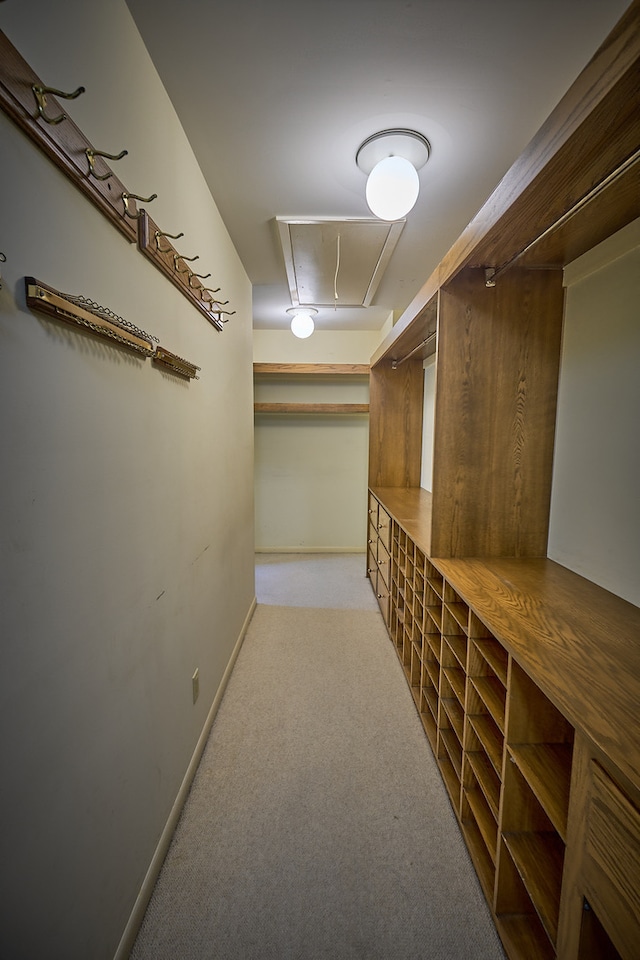 walk in closet featuring carpet