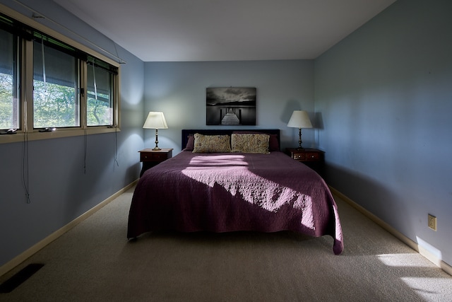 bedroom with carpet flooring