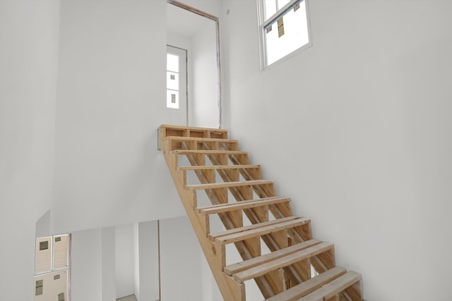 staircase featuring a high ceiling and plenty of natural light