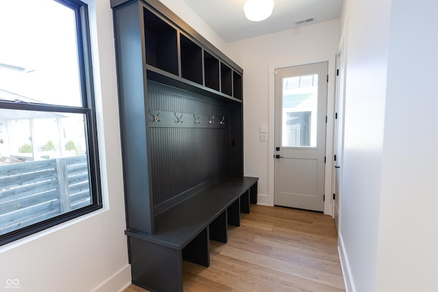 mudroom featuring plenty of natural light and hardwood / wood-style floors