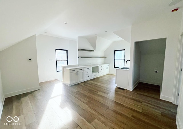 additional living space with lofted ceiling and light wood-type flooring