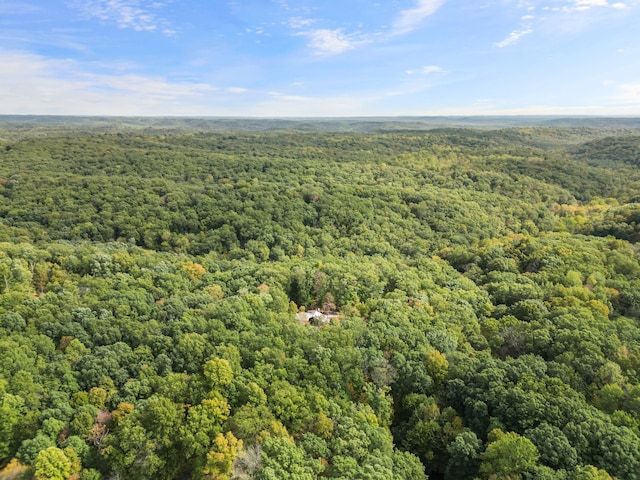 view of drone / aerial view