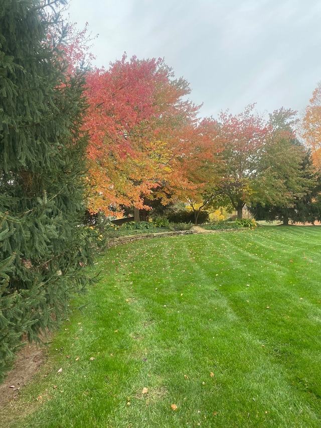 view of yard with a rural view