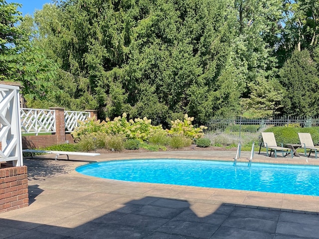 view of pool with a patio area and a diving board