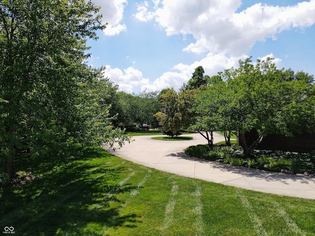 view of community with a lawn