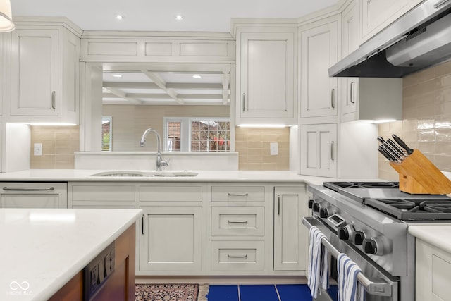 kitchen with white cabinetry, sink, stainless steel range, and range hood