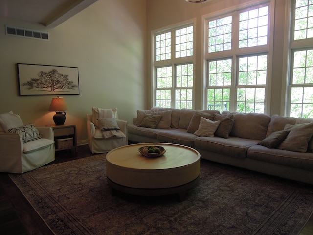 living room featuring wood-type flooring and a high ceiling