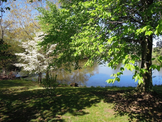 view of water feature