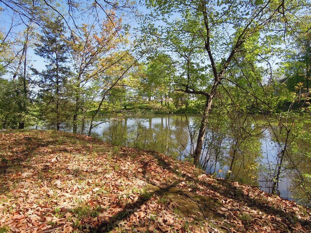 view of water feature