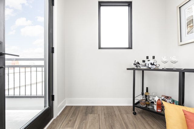 interior space with wood-type flooring and plenty of natural light