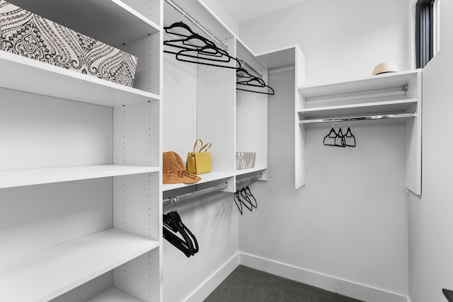 spacious closet with carpet