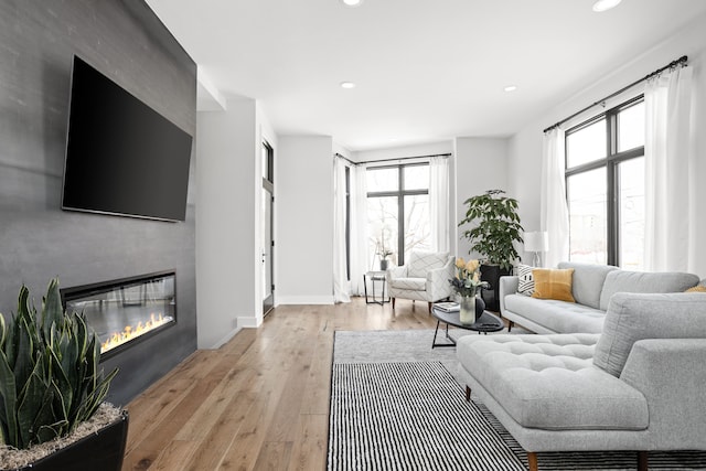 living room featuring plenty of natural light, light hardwood / wood-style floors, and a fireplace