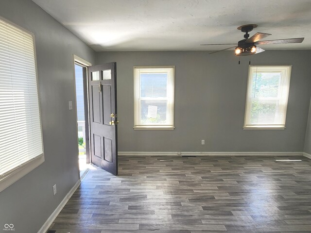 foyer featuring ceiling fan, wood-type flooring, and plenty of natural light