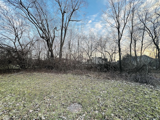 345 E Park St, Westfield, IN 46074 - photo 9
