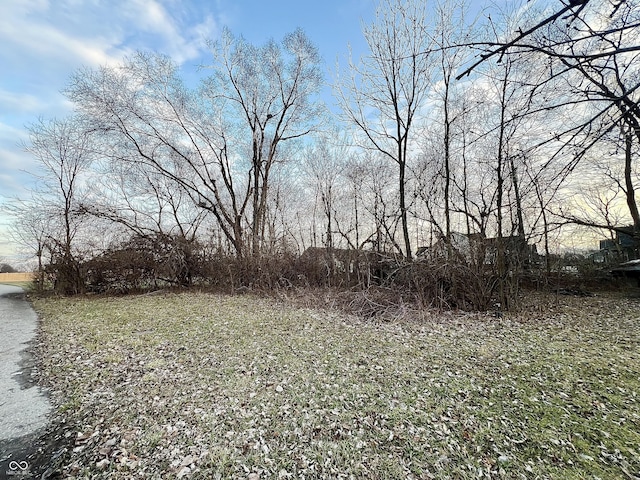 345 E Park St, Westfield, IN 46074 - photo 8