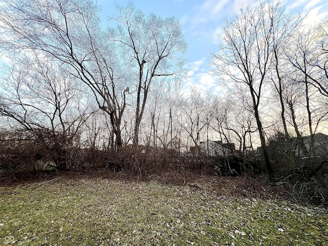 345 E Park St, Westfield, IN 46074 - photo 10