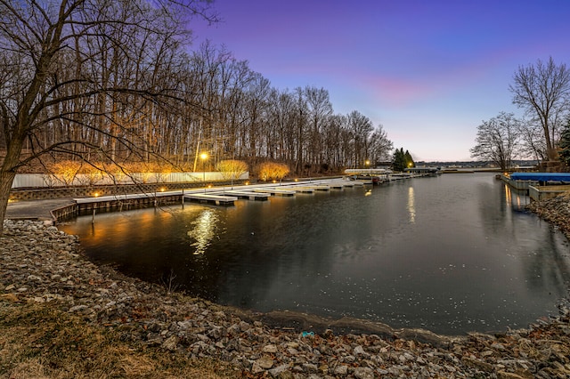 property view of water with a boat dock