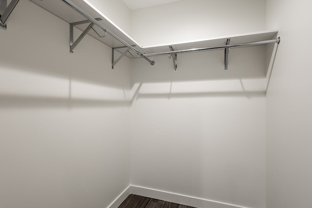 walk in closet featuring dark hardwood / wood-style floors