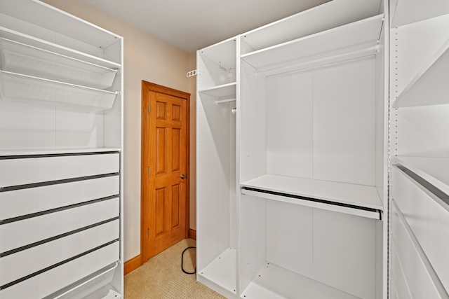 spacious closet featuring light carpet