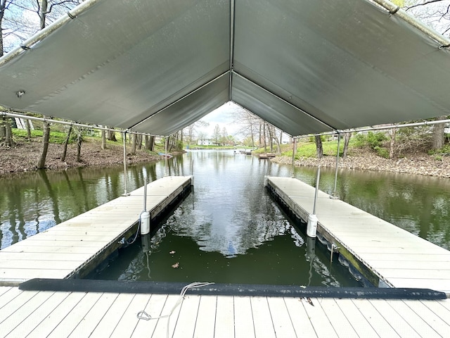 dock area with a water view