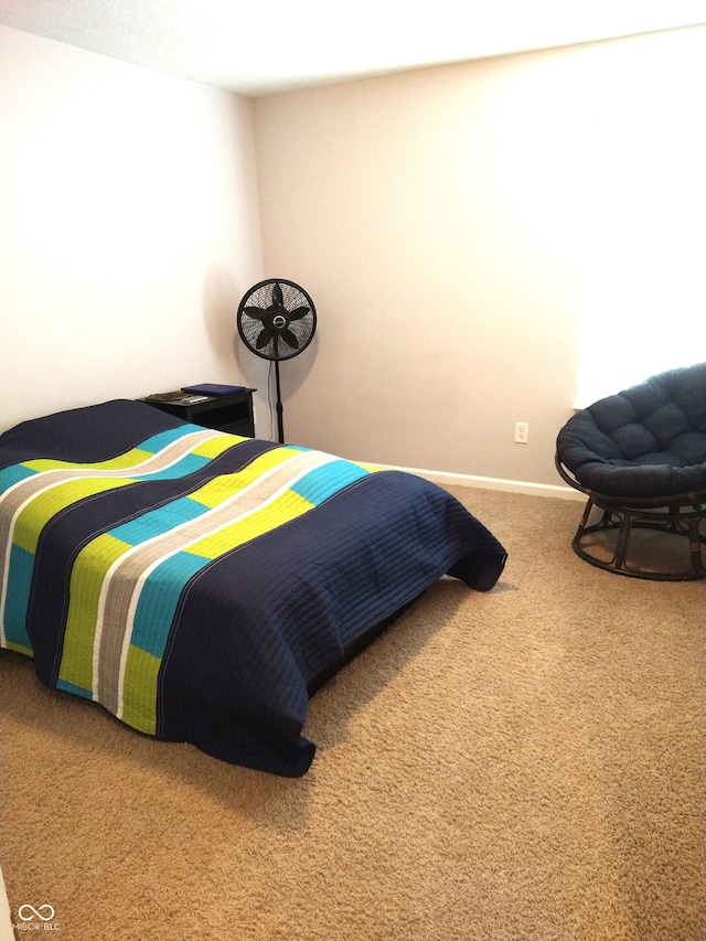 bedroom with carpet