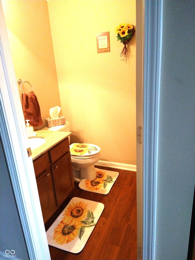 bathroom with vanity, toilet, and wood-type flooring