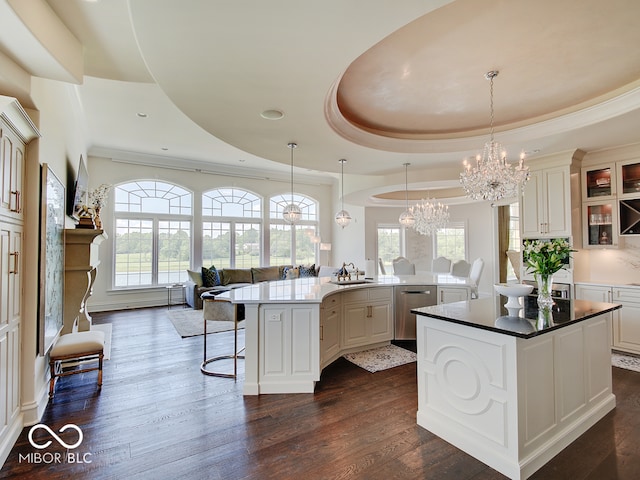 kitchen with a chandelier, dark hardwood / wood-style flooring, a center island, stainless steel dishwasher, and a tray ceiling