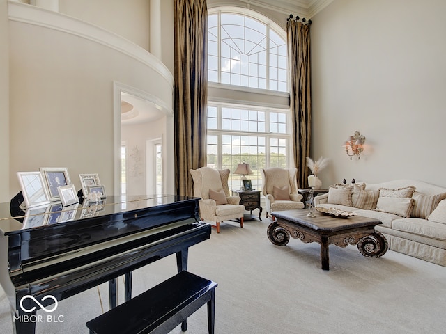 interior space with carpet floors, a towering ceiling, and ornamental molding