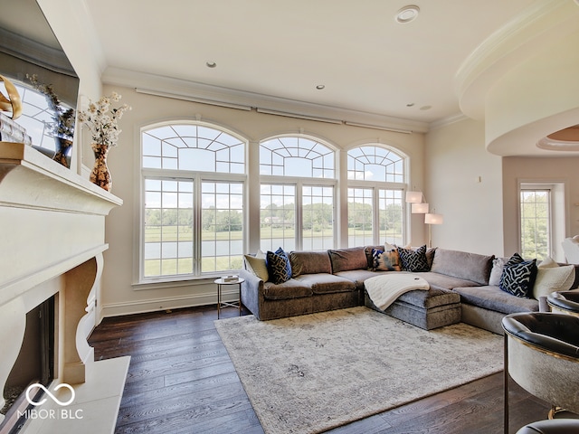 living room with ornamental molding, a healthy amount of sunlight, and dark hardwood / wood-style flooring