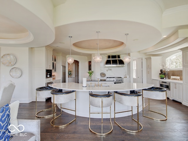 kitchen with appliances with stainless steel finishes, range hood, hanging light fixtures, a large island with sink, and a tray ceiling