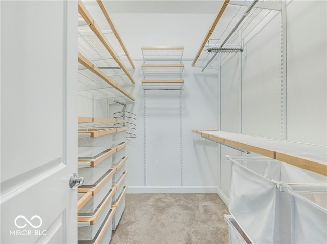 walk in closet with light carpet