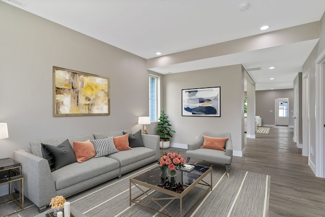 living room with plenty of natural light and wood-type flooring