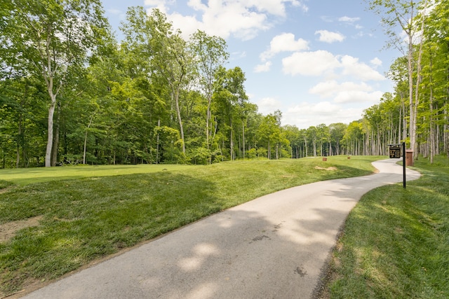 10405 Holliday Farms Blvd, Zionsville, IN 46077 - photo 12