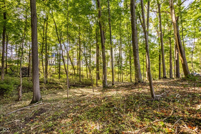 10405 Holliday Farms Blvd, Zionsville, IN 46077 - photo 2