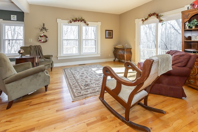 living area featuring light hardwood / wood-style flooring and plenty of natural light