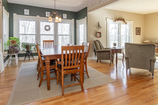 dining area with light hardwood / wood-style floors, a notable chandelier, and a healthy amount of sunlight