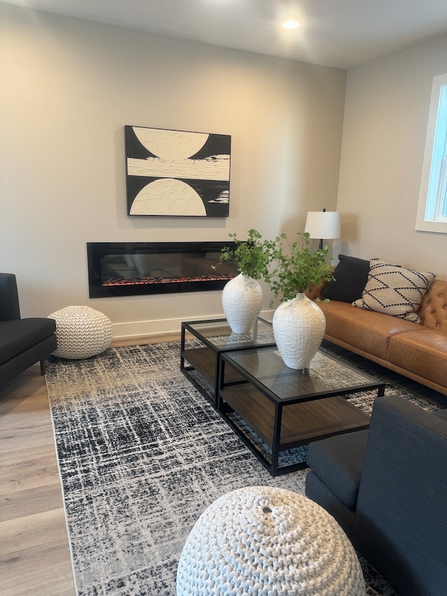 living room featuring hardwood / wood-style flooring