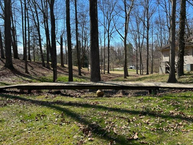 view of yard with a wooden deck