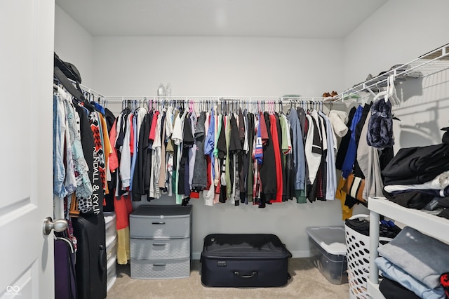 spacious closet featuring carpet floors