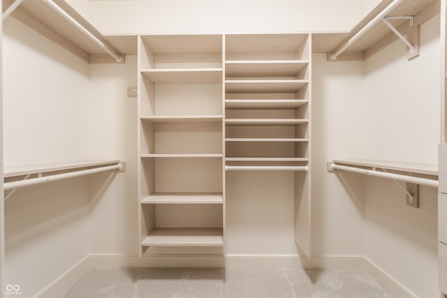 spacious closet with carpet