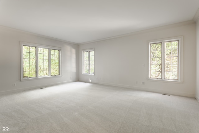 empty room featuring light carpet, a wealth of natural light, and crown molding