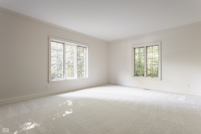 empty room featuring carpet flooring and crown molding